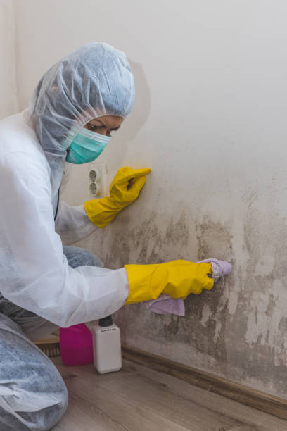 Best Residential Mold Inspection & Testing  in Experiment, GA