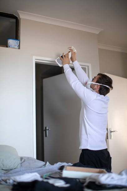 Best Black Mold Removal  in Experiment, GA