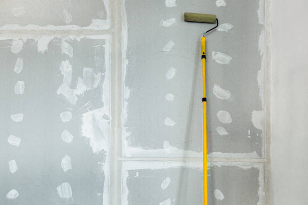 Best Emergency Mold Remediation  in Experiment, GA