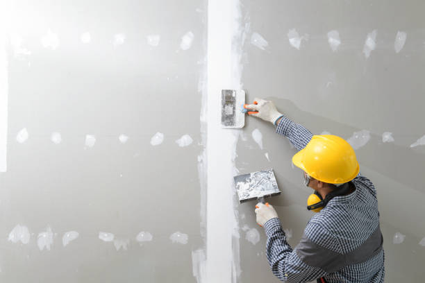 Best Real Estate Mold Inspection  in Experiment, GA