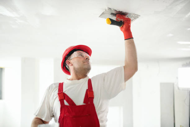 Best Commercial Mold Inspection  in Experiment, GA
