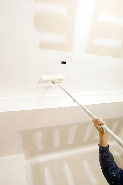 Best Mold Documentation for Insurance Claims  in Experiment, GA