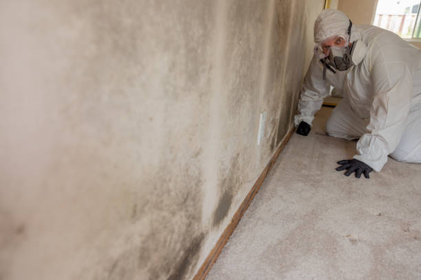 Best Mold Prevention Services  in Experiment, GA